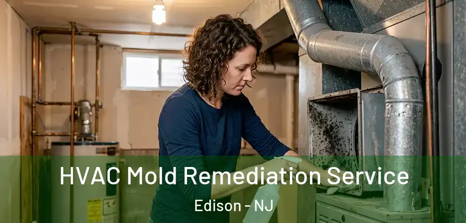HVAC Mold Remediation Service Edison - NJ
